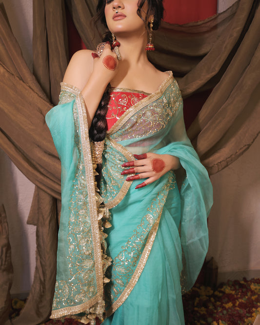 SKY BLUE AND RED SAREE - SWARN MANJARI