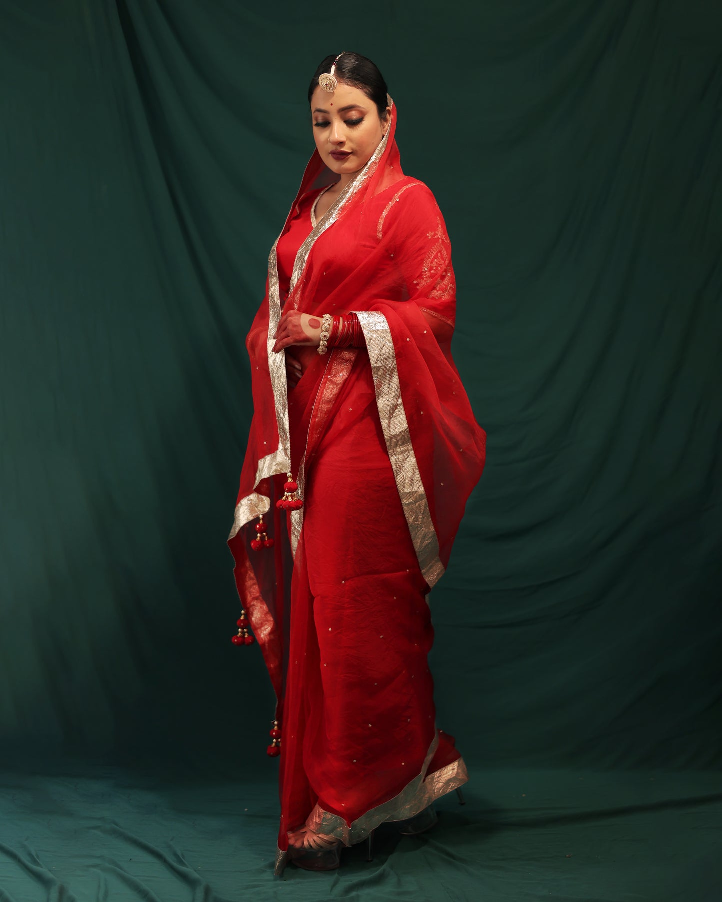 LAAL ORGANZA SAREE - JHAROKHA