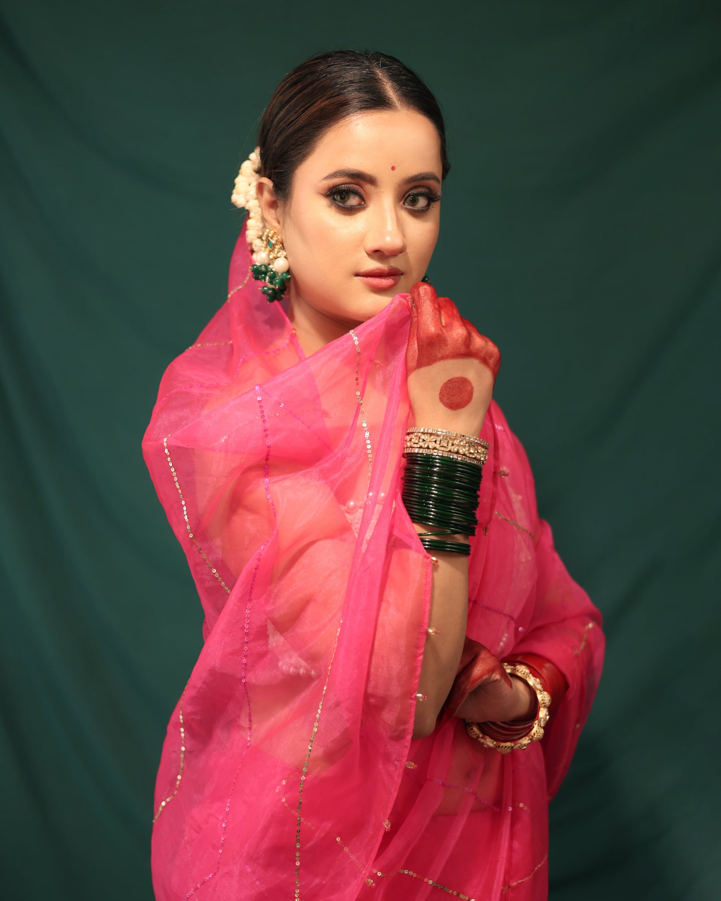 PINK LINE ORGANZA SAREE - JHAROKHA