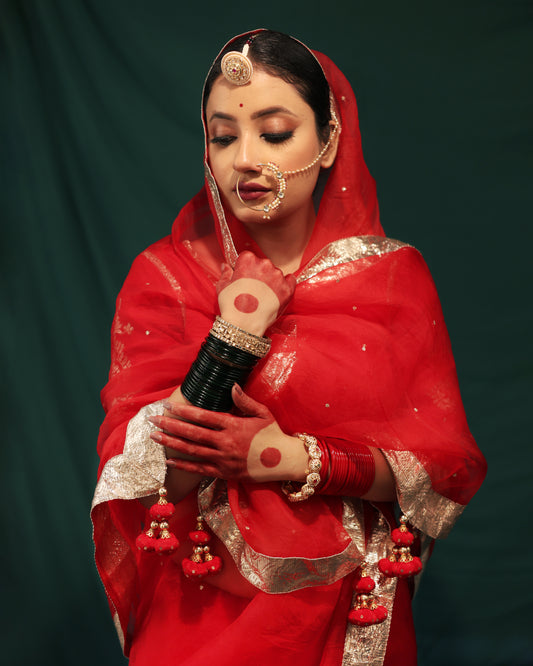 LAAL ORGANZA SAREE - JHAROKHA