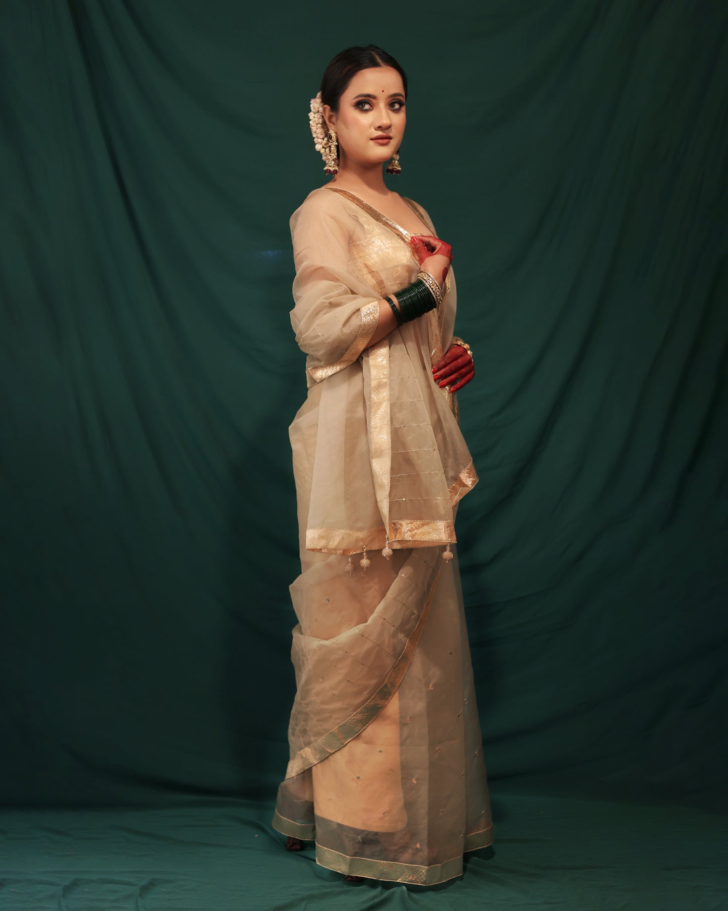 GOLDEN MONOCHROME SAREE - JHAROKHA