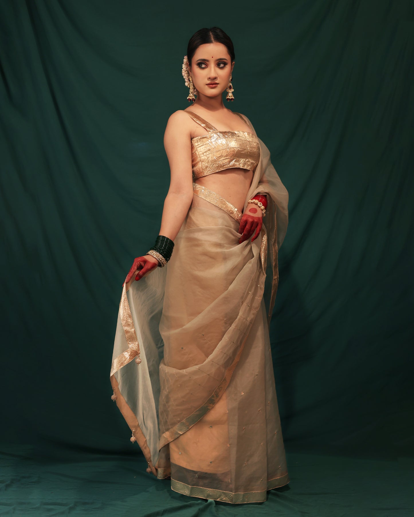 GOLDEN MONOCHROME SAREE - JHAROKHA