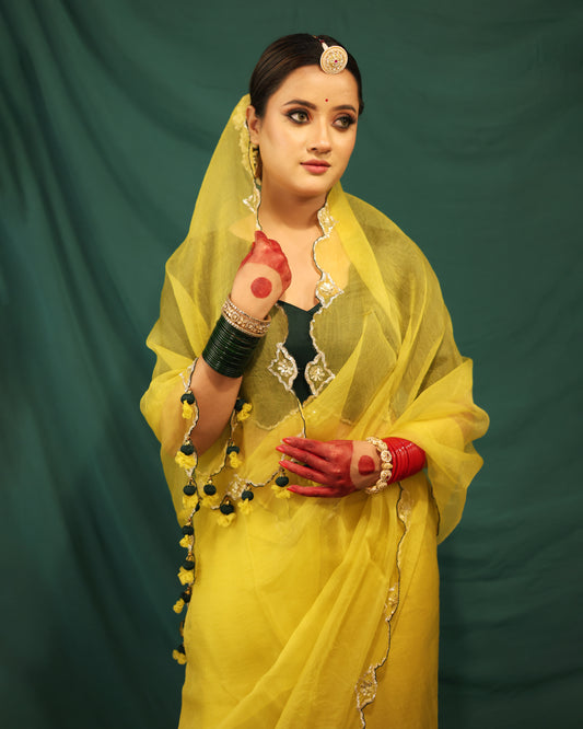 LIME GREEN AND BOTTLE GREEN SAREE - JHAROKHA